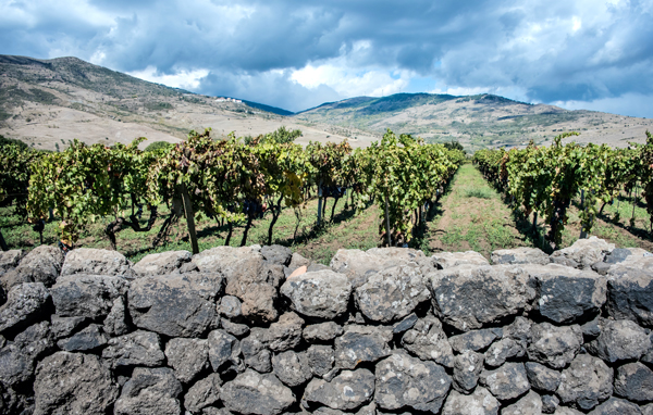 Trockensteinmauern im Weingut Donnafugata am Ätna