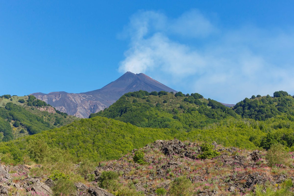 Die Sizilianische Reise, V